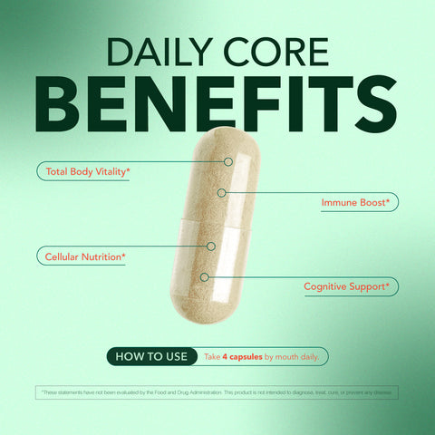 Daily Core