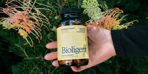 What Are the Best Adaptogens for Stress? Comparing Popular Herbs