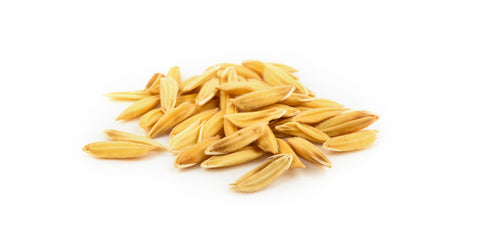 New Human Clinical Trial Highlights Key Benefits of Miricell™ Spermidine: What the Findings Mean for Healthy Aging