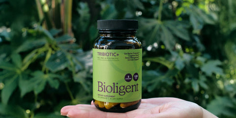 What Are Prebiotics, Probiotics, and Postbiotics? Understanding the Difference