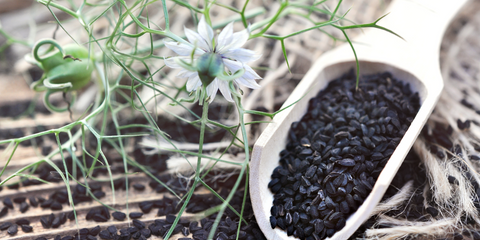 Black Seed Oil with ThymoQuin®